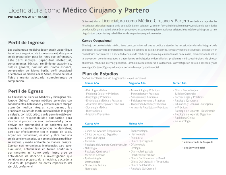 Médico 2