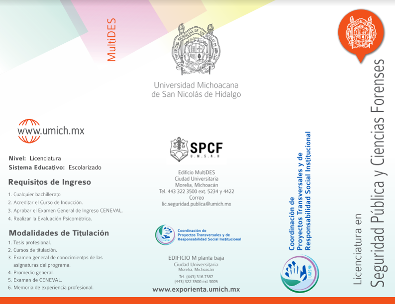 Seg.Pública1