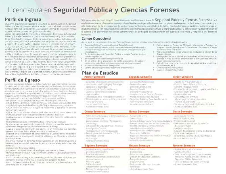 Seg.Pública2