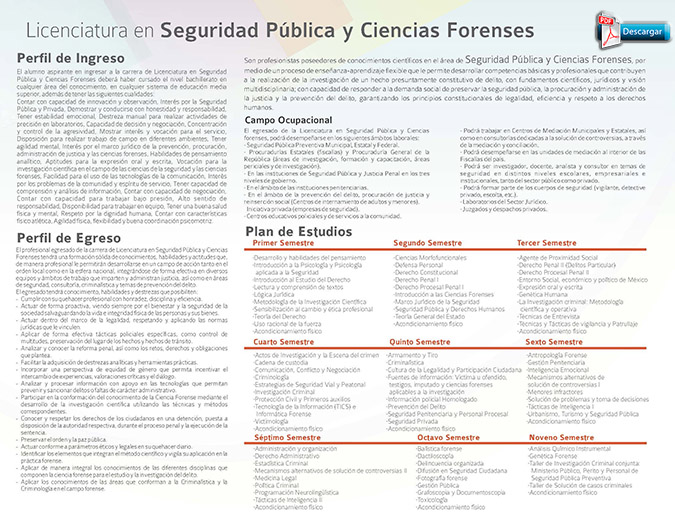 seguridad publica