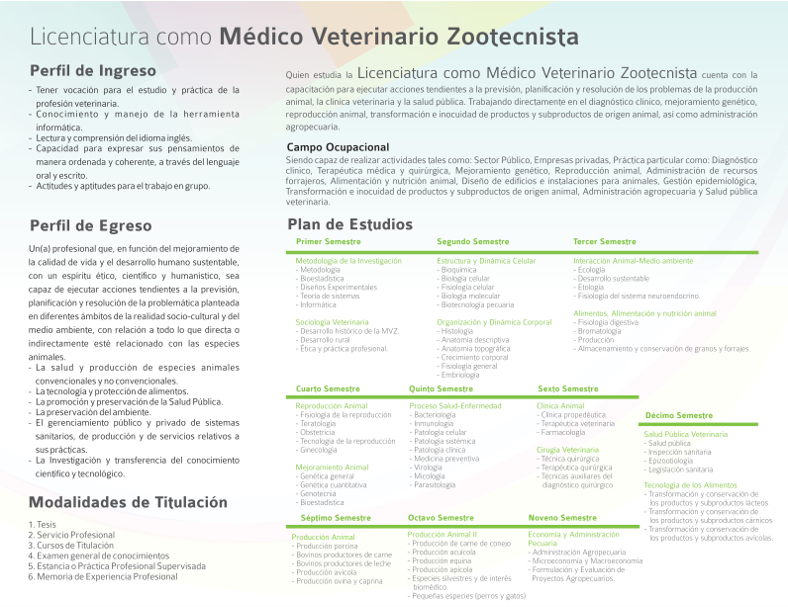vet2